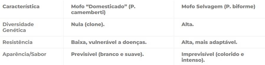 Figura 1