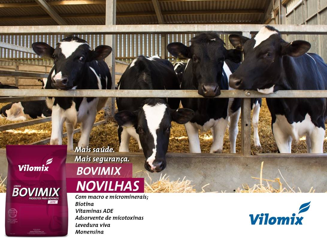 vilomix