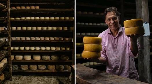 produção queijo premiado na Serra do Bálsamo