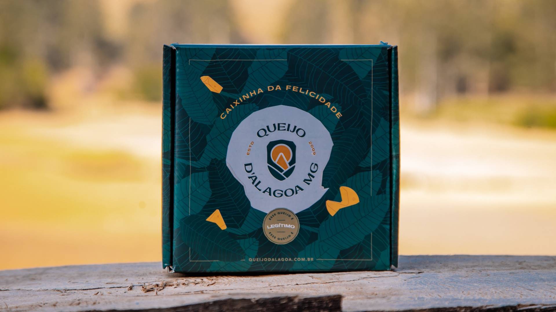 Tropeiro digital: Osvaldinho amplia o debate sobre valor, identidade e mercado no queijo artesanal