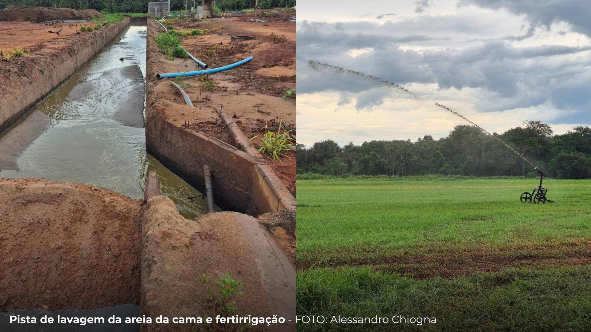 Como a água da chuva completa o ciclo produtivo de fazendas que são destaque em sustentabilidade
