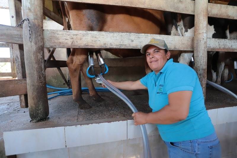 Produção de leite ganha força com políticas públicas em São Paulo