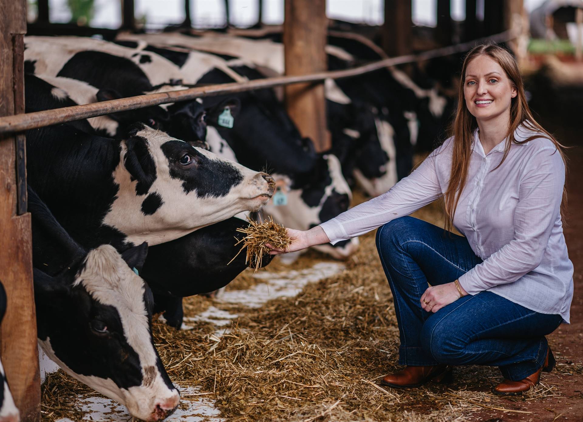 Especial Leite por Elas, Marjori Ghellar: mastite com estratégia e R$ 32 mil economizados