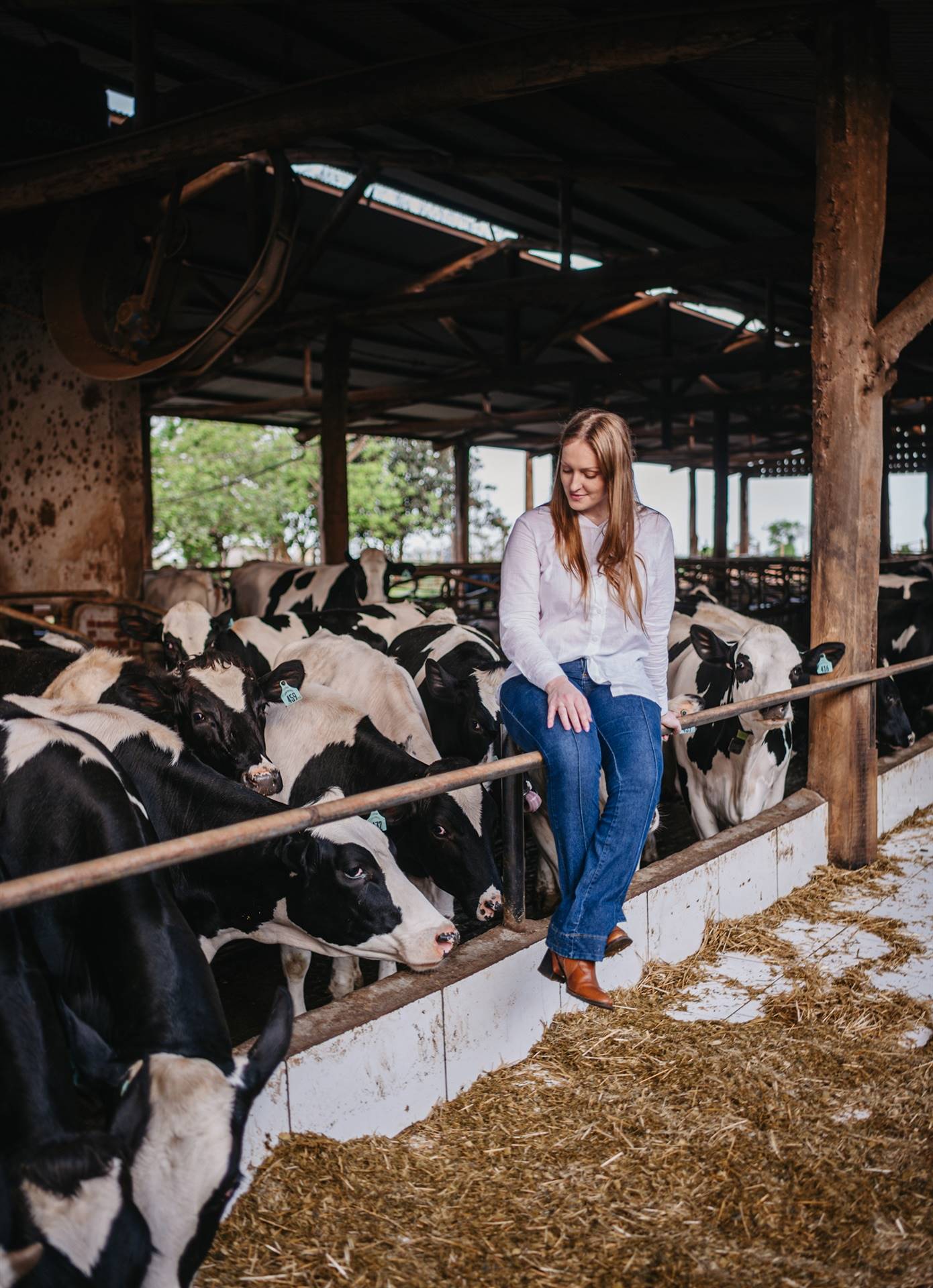 Especial Leite por Elas, Marjori Ghellar: mastite com estratégia e R$ 32 mil economizados