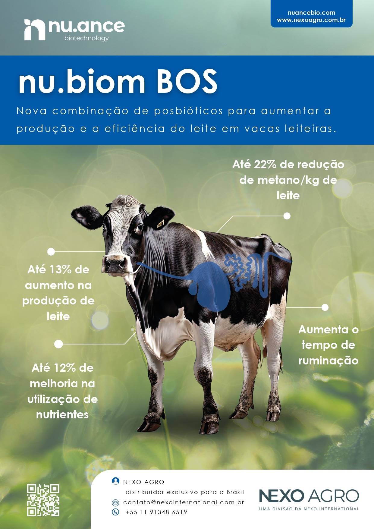 Figura 1