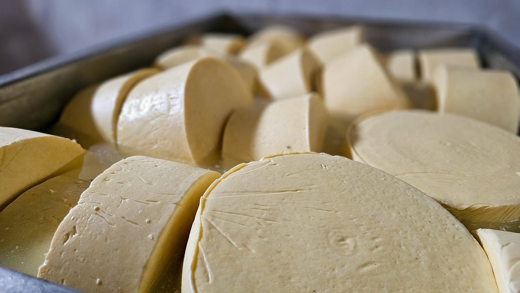 Queijo artesanal mineiro do Vale do Suaçuí recebe regulamentação para ampliar vendas em todo o país