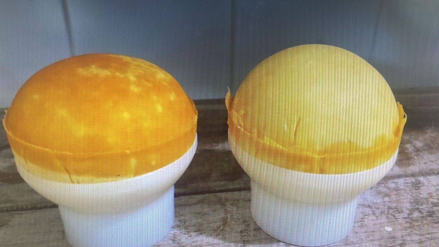 Pesquisa da UFPB desenvolve queijo do reino produzido com leite de cabra