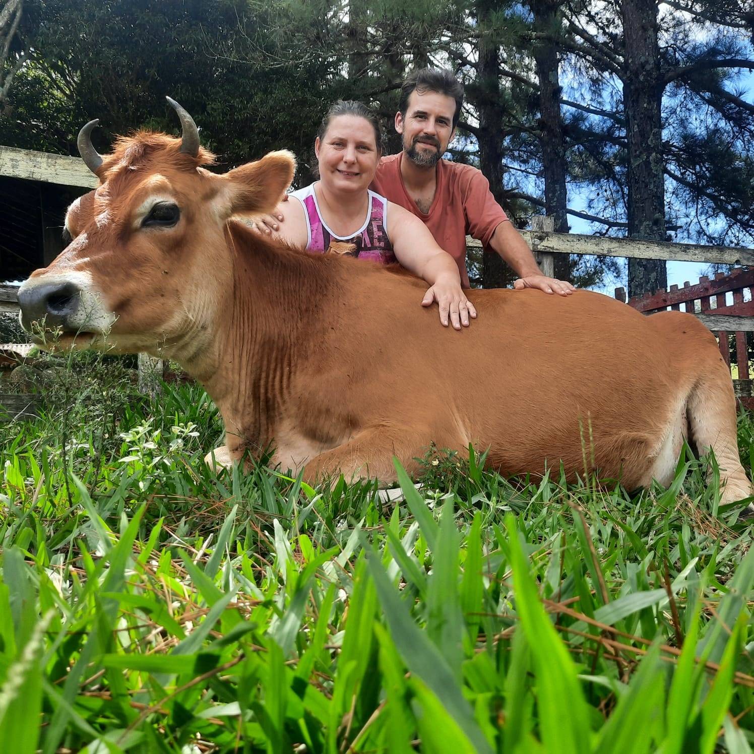 O presente inusitado que levou ao selo orgânico: a jornada de propósito da Benolle