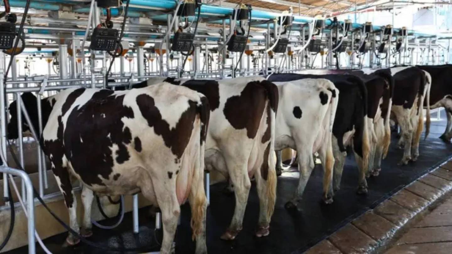 Projeto ambiental em SP amplia produção de leite e reforça sustentabilidade no campo