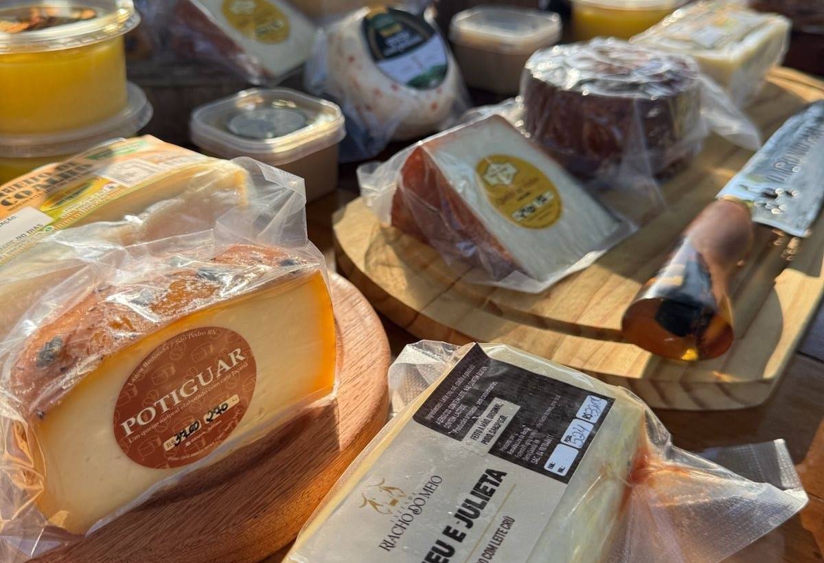 queijo artesanal no rio grande do norte