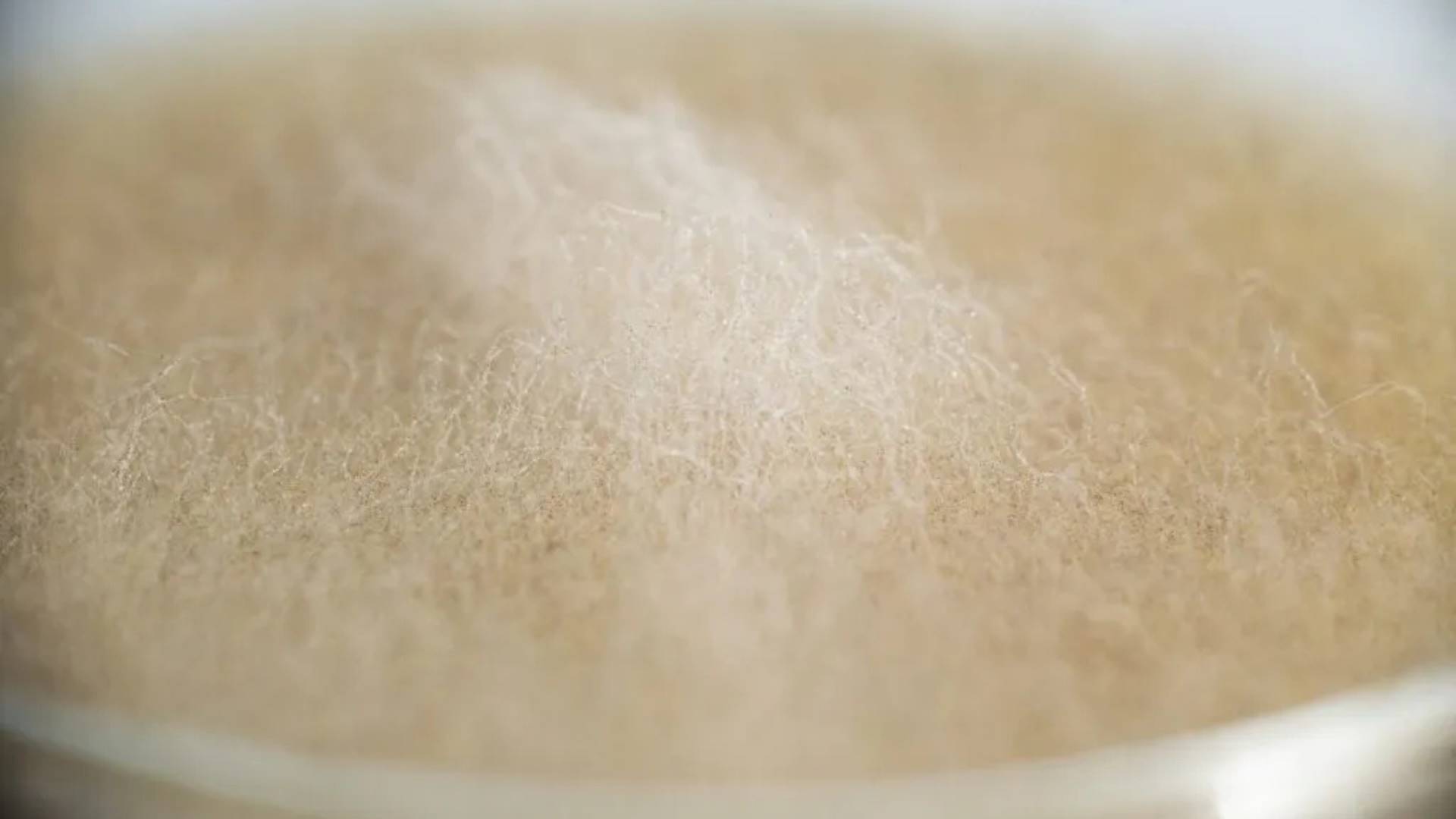 Livro da UFV aborda papel dos fungos na produção do Queijo Minas Artesanal da Canastra
