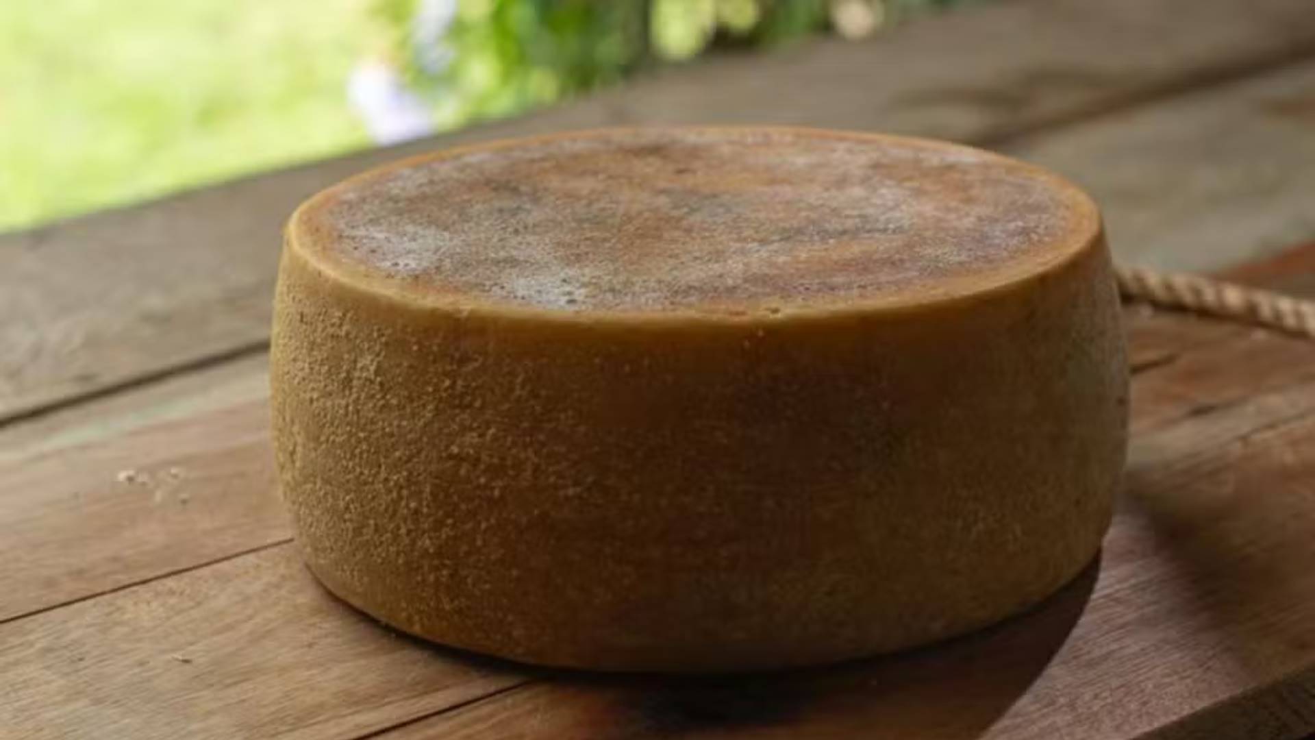 Caverna subterrânea e fungos naturais ajudam produtor a criar queijos premiados em Goiás