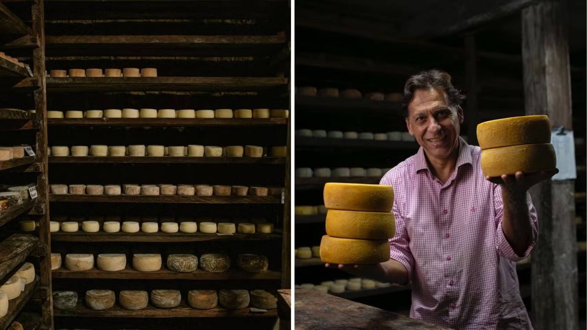 Caverna subterrânea e fungos naturais ajudam produtor a criar queijos premiados em Goiás