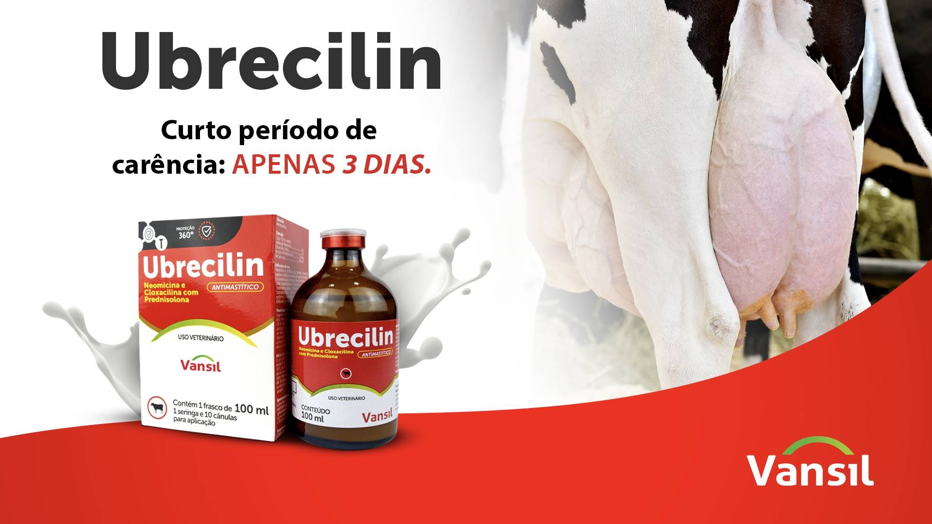Figura 1