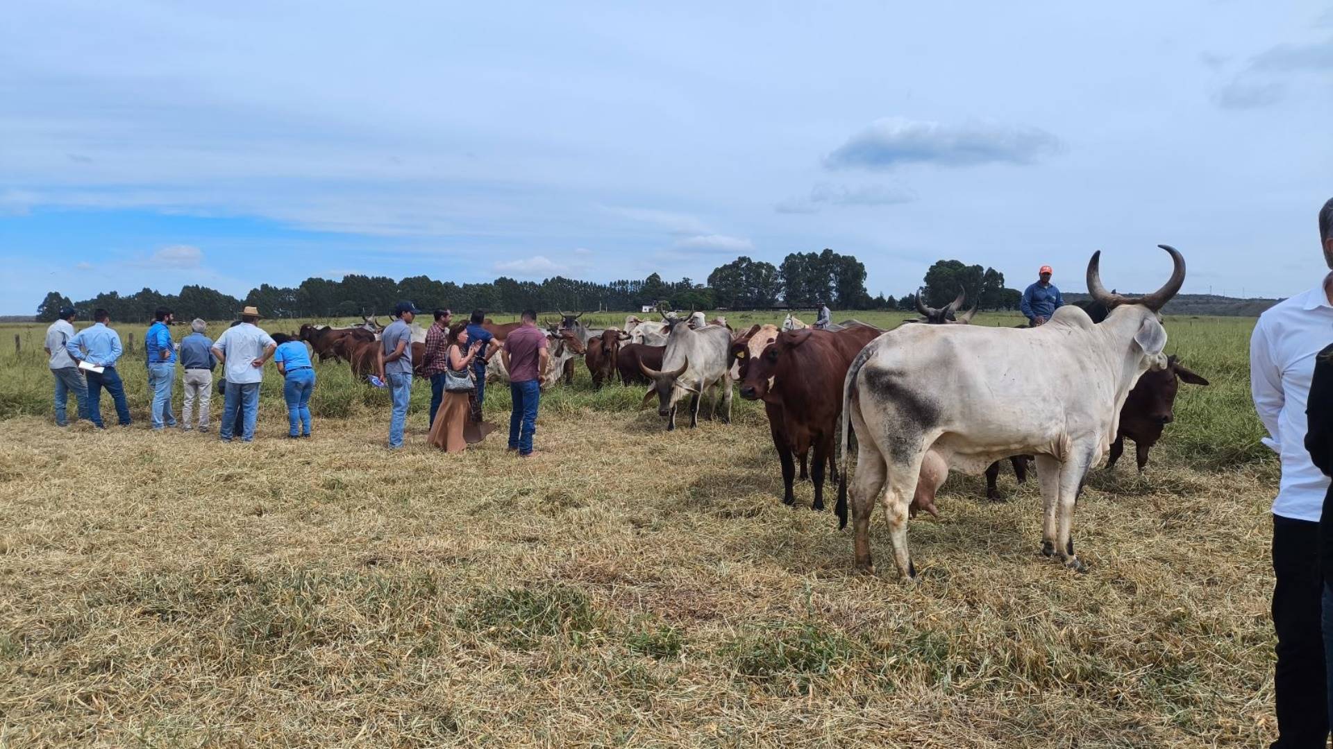 CTZL encerra décima Prova Brasileira de Produção de Leite a Pasto com premiações e homenagens