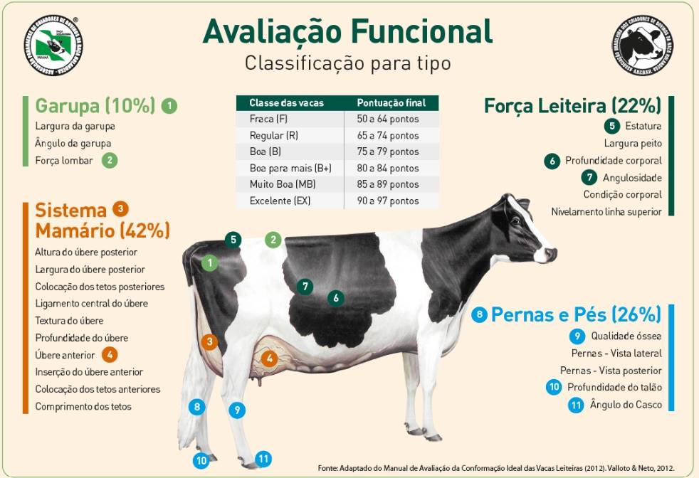 Figura 1