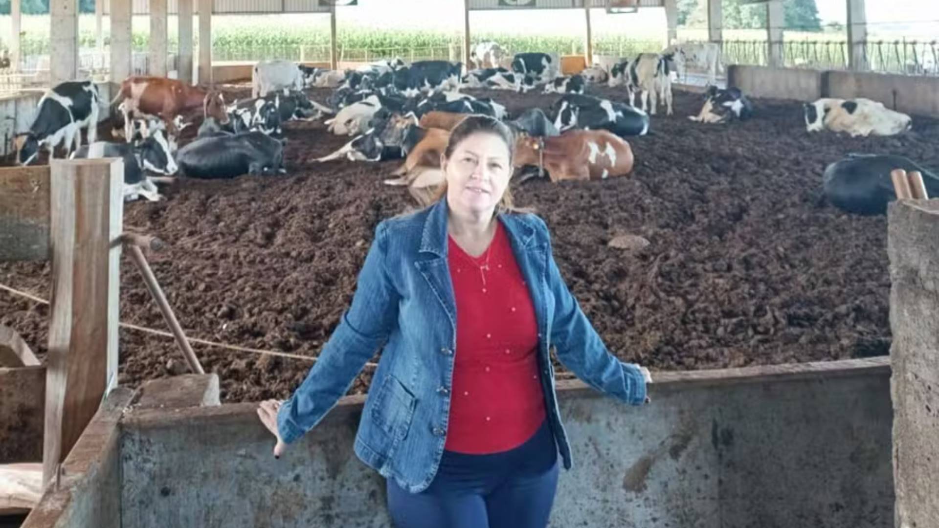 Como investimentos anuais via Pronaf ajudaram uma produtora de leite no Paraná a ampliar o rebanho