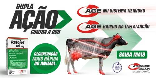 Figura 1