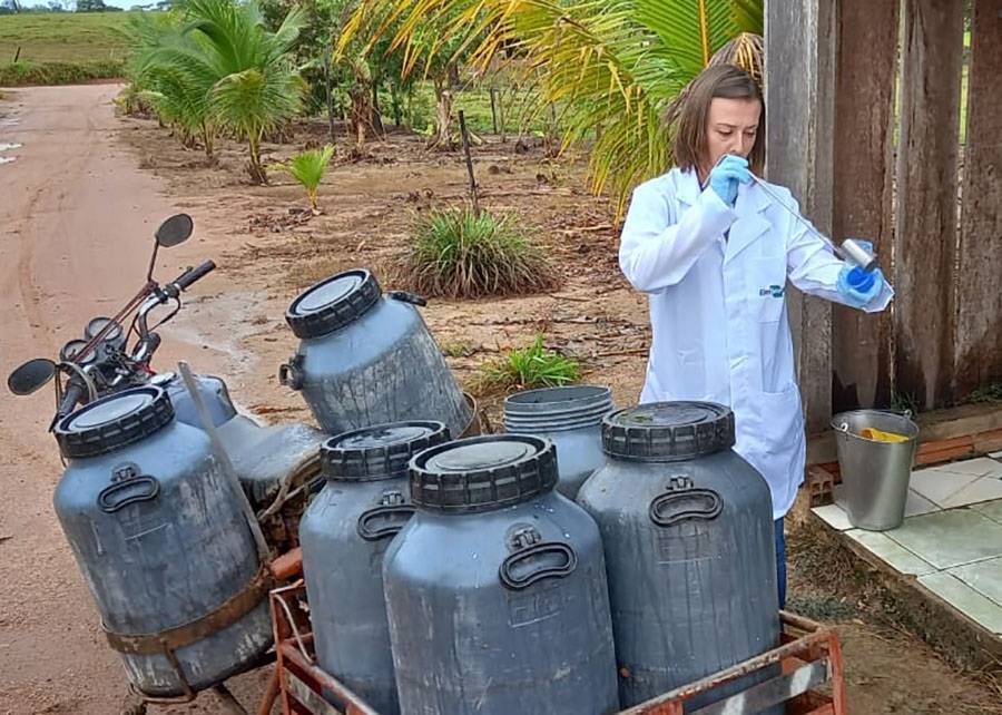 Pesquisas da Embrapa apontam melhoria da qualidade do leite em Rondônia