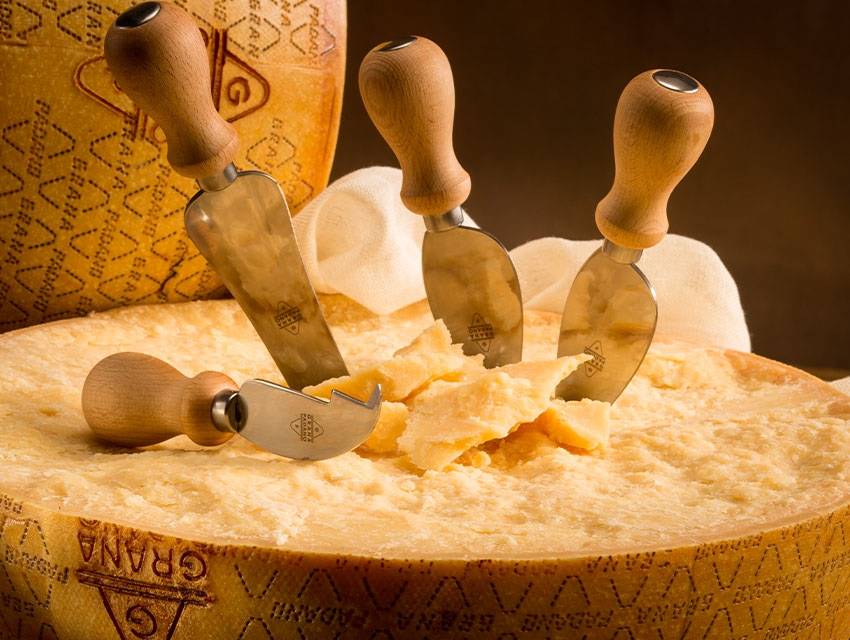 grana padano