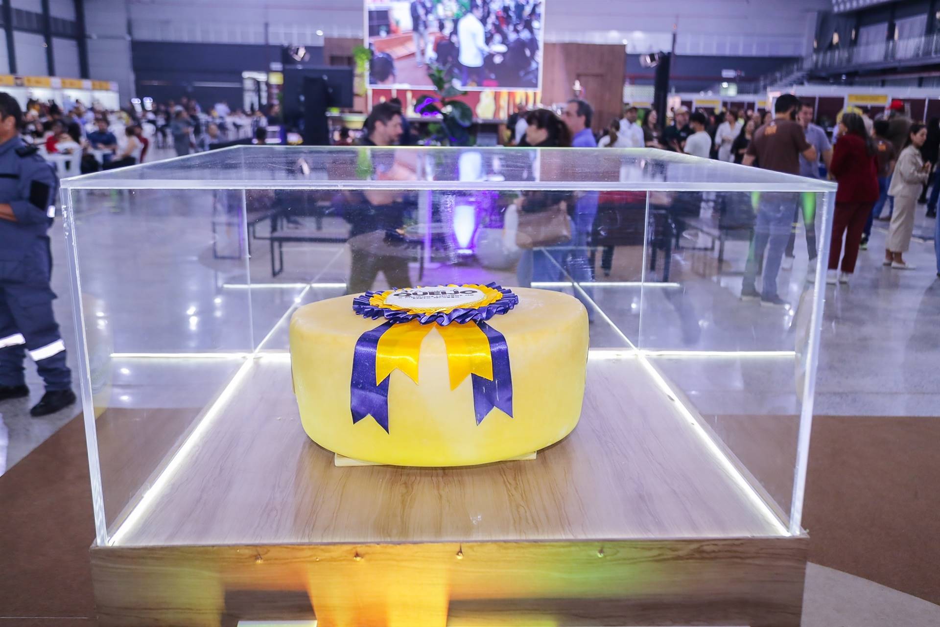 Festival do Queijo reúne 5 mil pessoas e amplia oportunidades para pequenos negócios em MT
