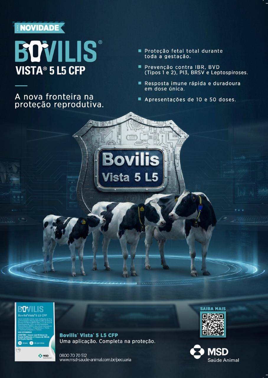 Figura 1