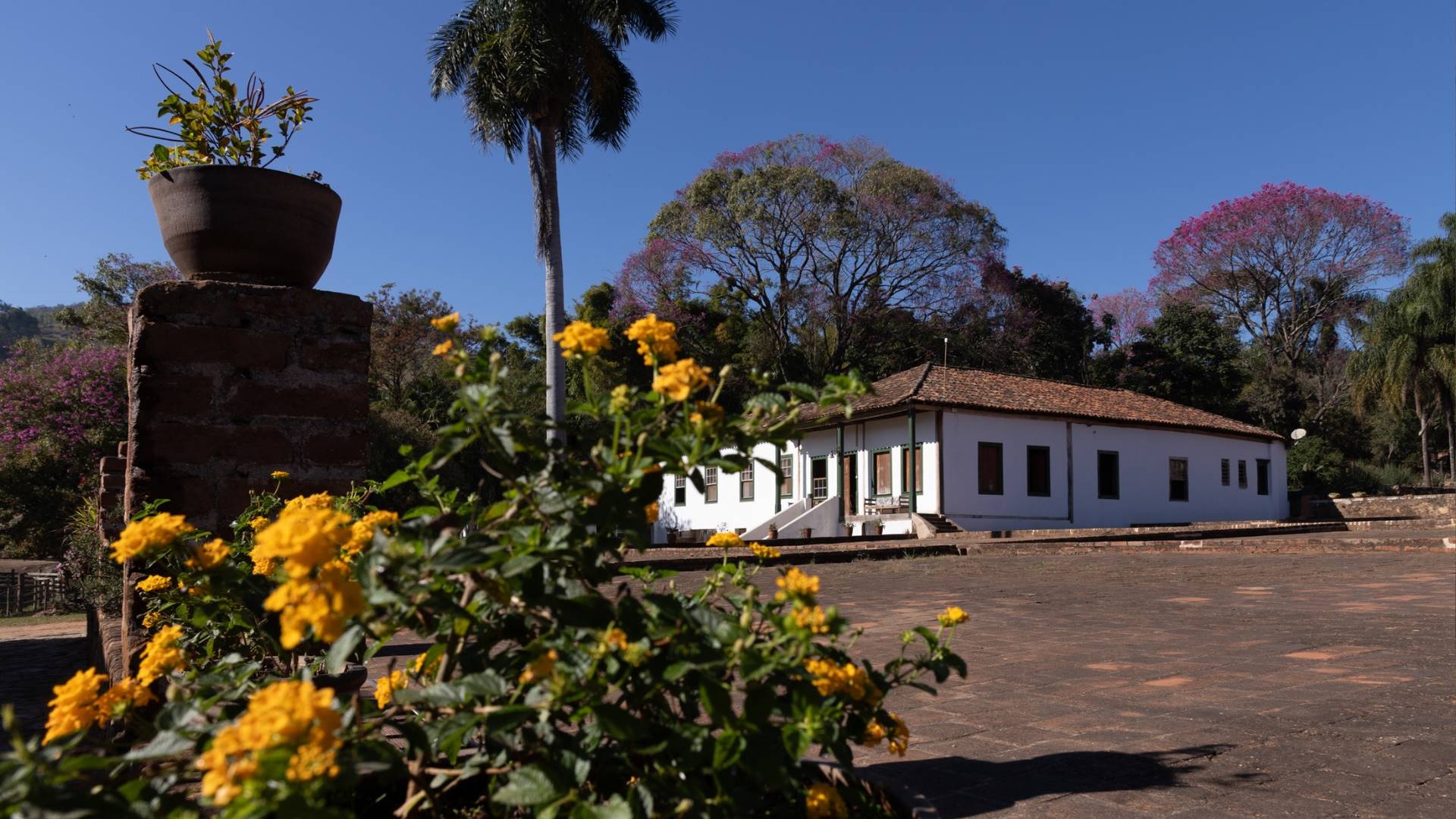 Fazenda Atalaia: tradição, turismo e a revolução do roteiro do queijo paulista