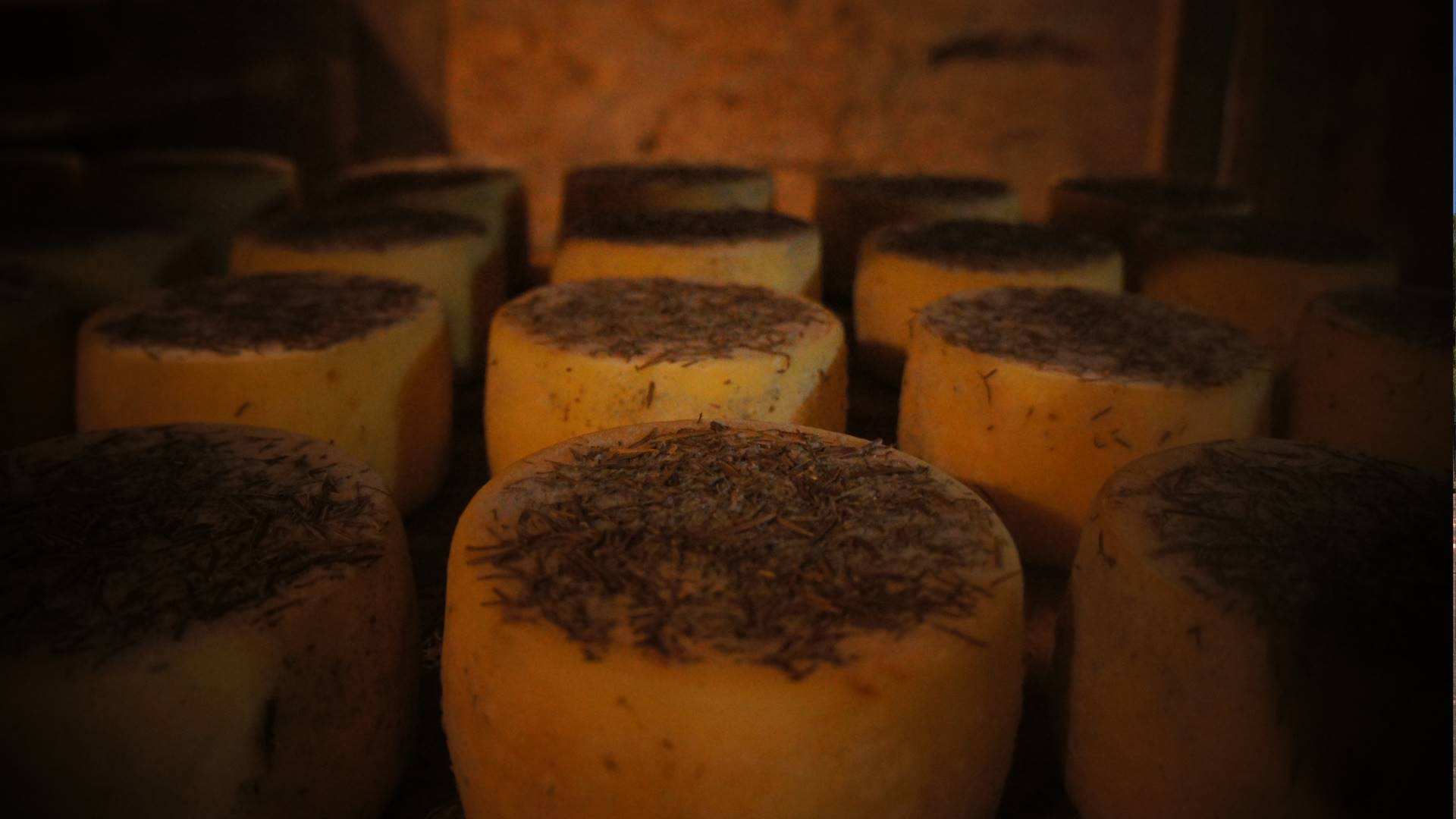 Fazenda Atalaia: tradição, turismo e a revolução do roteiro do queijo paulista