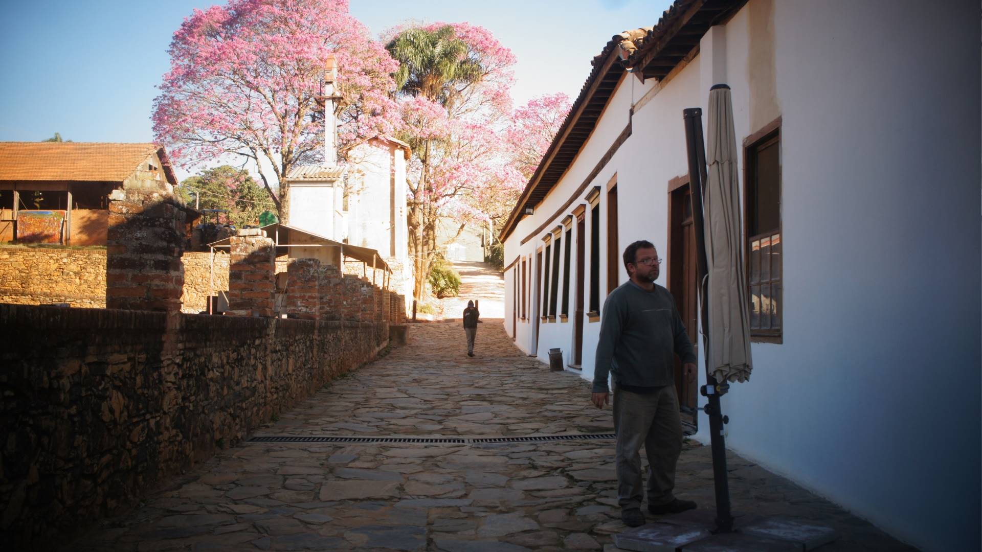 Fazenda Atalaia: tradição, turismo e a revolução do roteiro do queijo paulista