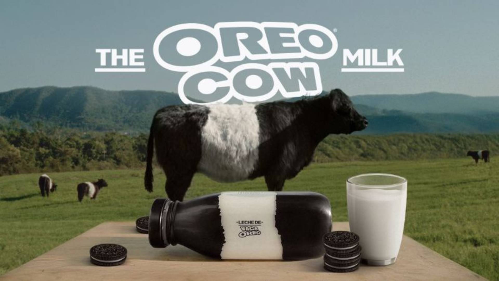 Vacas Oreo: campanha da Mondelez une genética leiteira e tradição e conquista premiação em Cannes