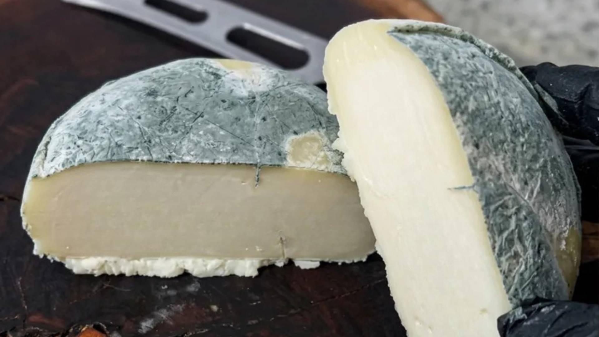 Nordeste: queijo azul paraibano ganha ouro em campeonato internacional