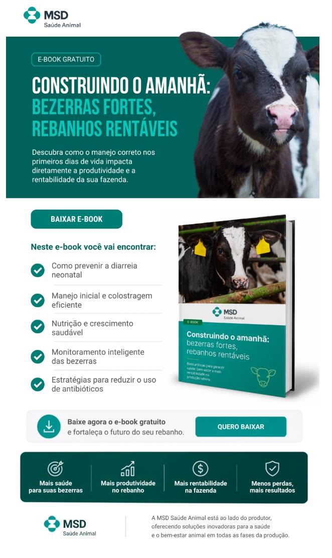 Figura 1