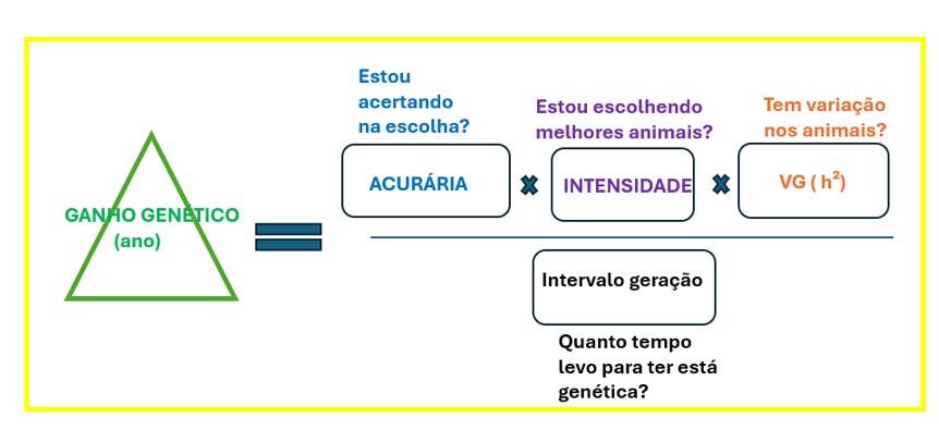 Figura 1