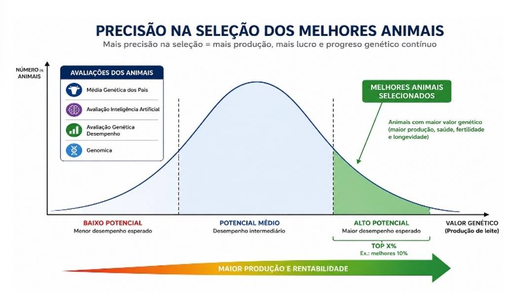 Figura 2