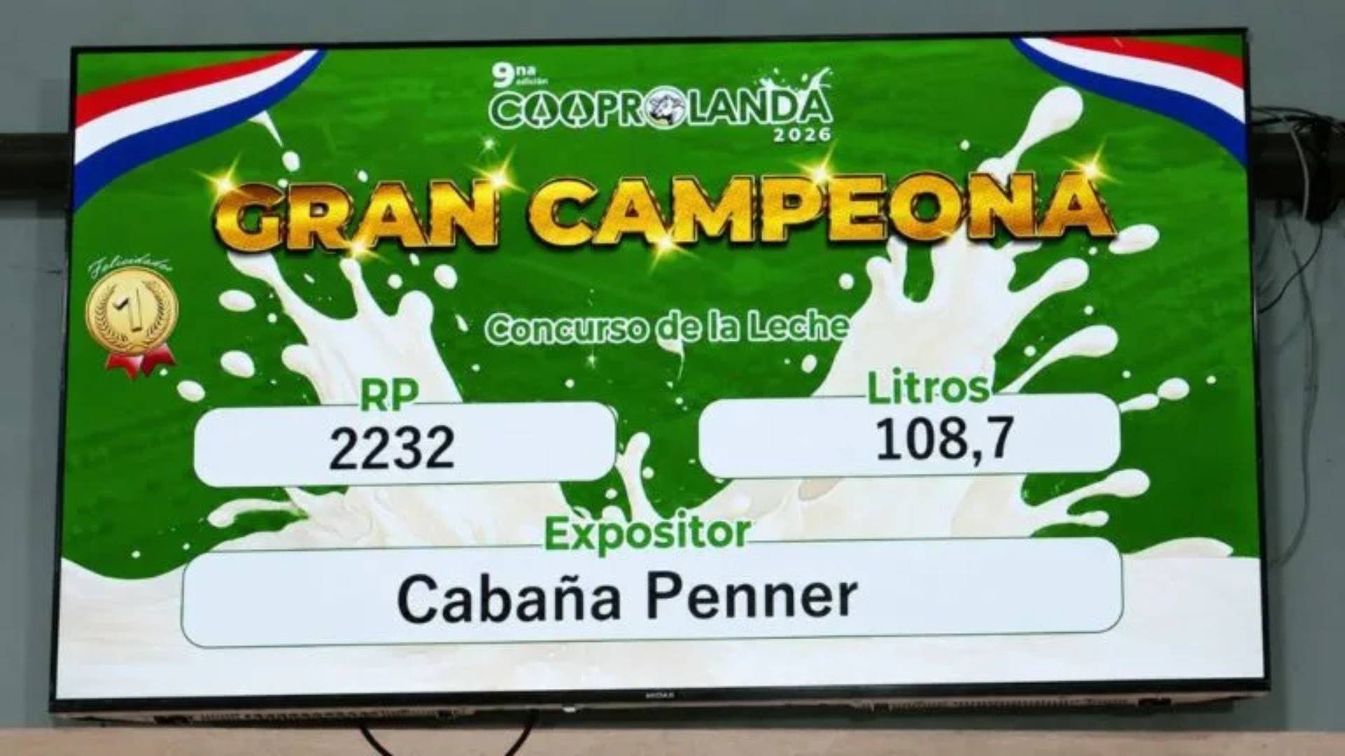 Vaca paraguaia produz 108 litros de leite em três ordenhas e quebra recorde histórico