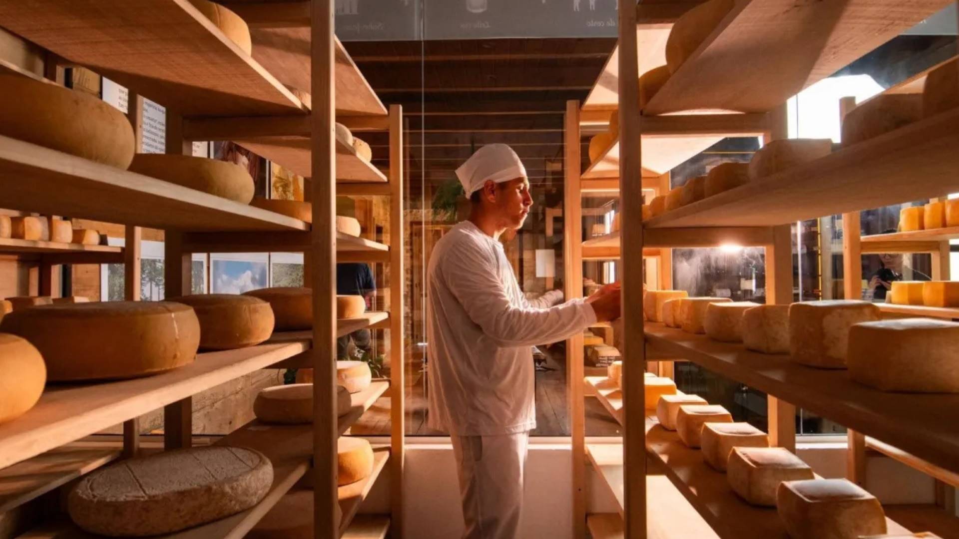 Do campo à alta gastronomia: como a maturação está reinventando o Queijo Serrano no RS