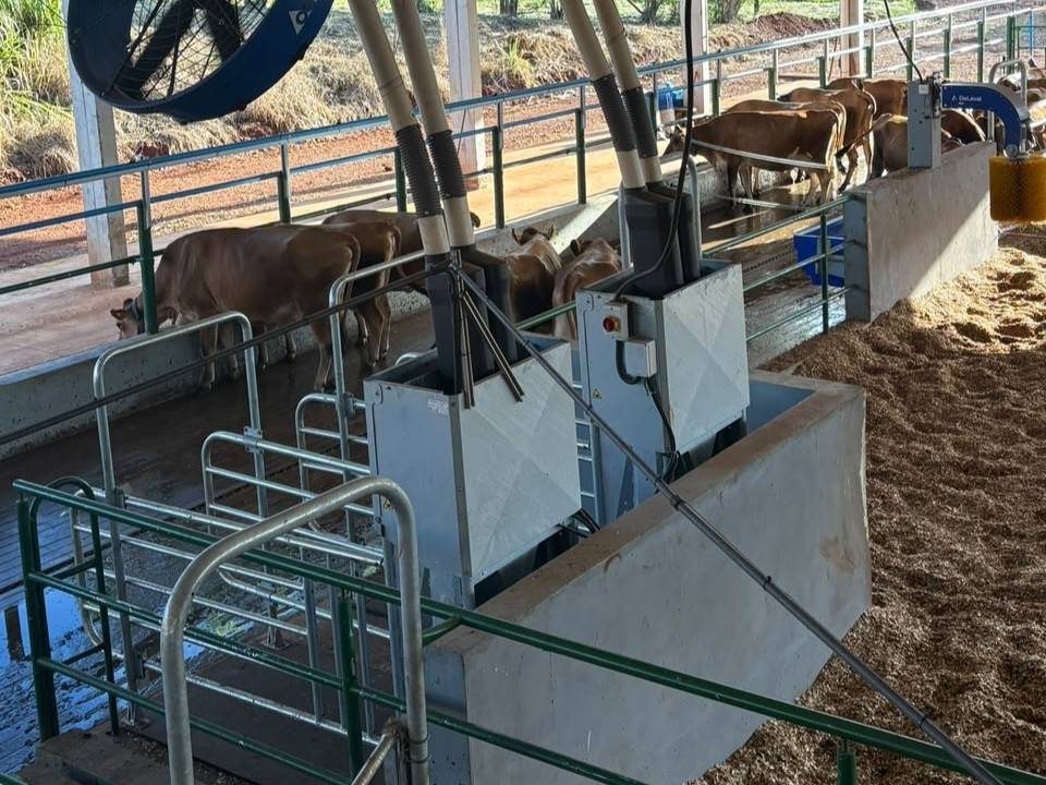 Sistema agrivoltaico e sustentabilidade: Unesp investiga possibilidades para a produção de leite