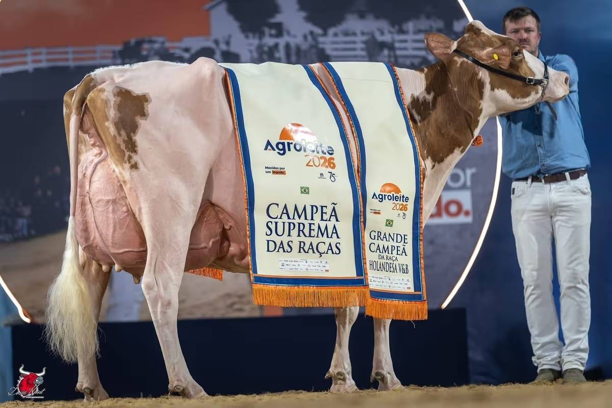 Figura 1