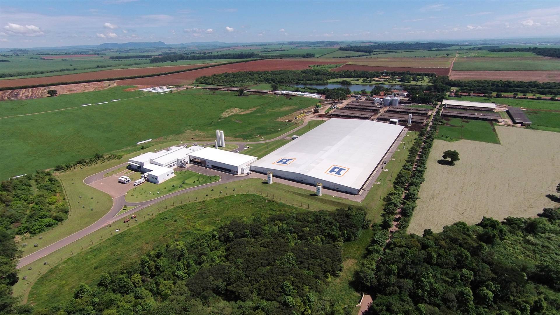 Do campo à gôndola: como a Xandô alia a tradição da Fazenda Colorado com inovação