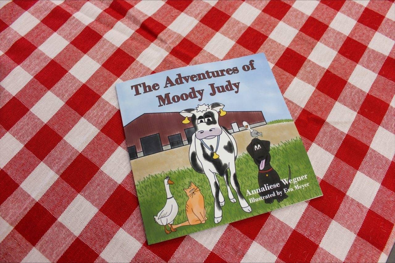 As Aventuras de Moody Judy - livro infantil