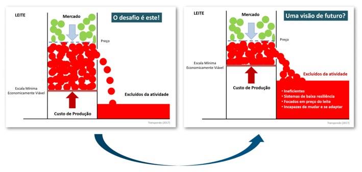A concentração da produção de leite no RS e o paradoxo do pagamento por escala