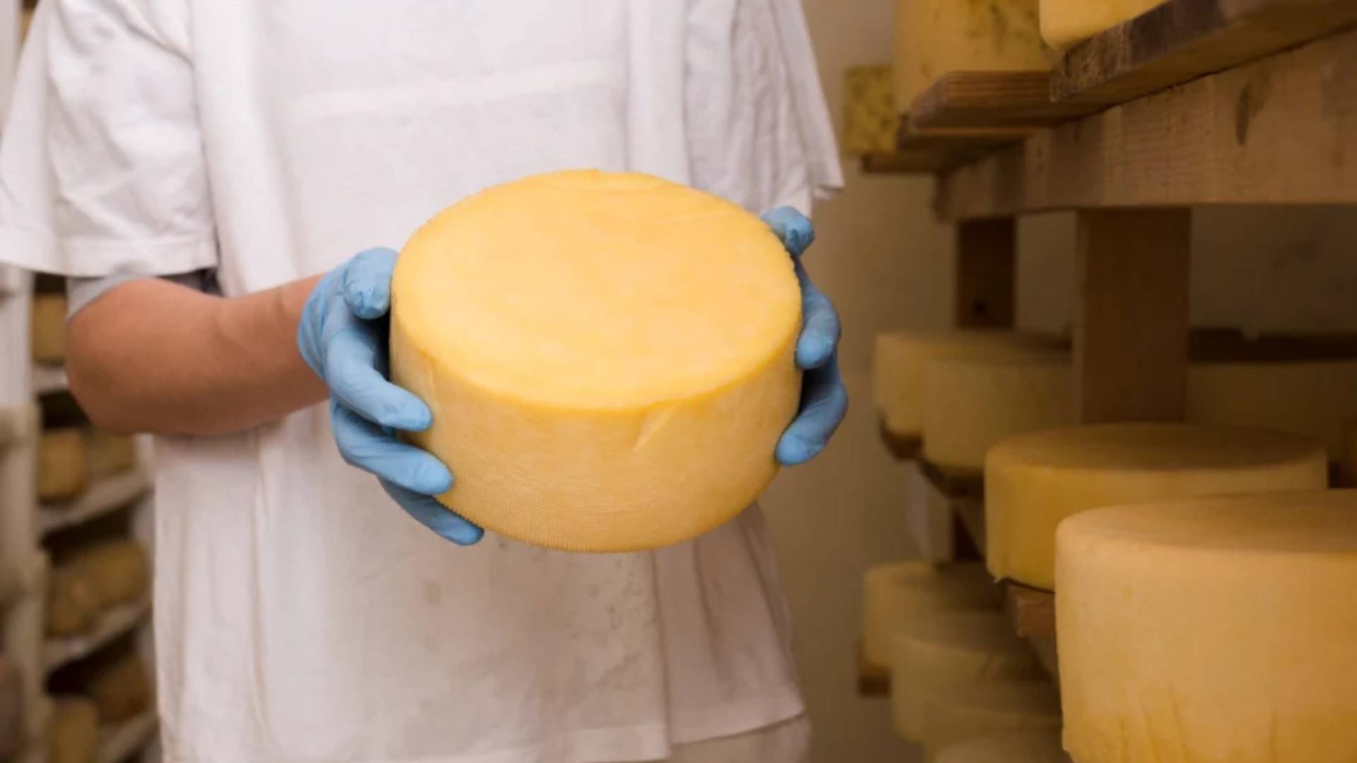 SC cria selo para venda de produtos de pequenas agroindústrias em todo o estado