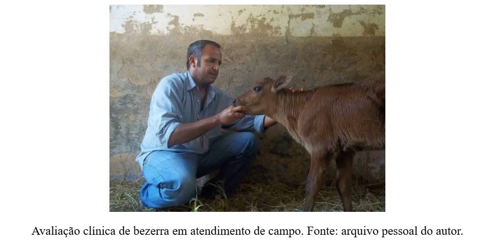 pneumonia em bezerras leiteiras