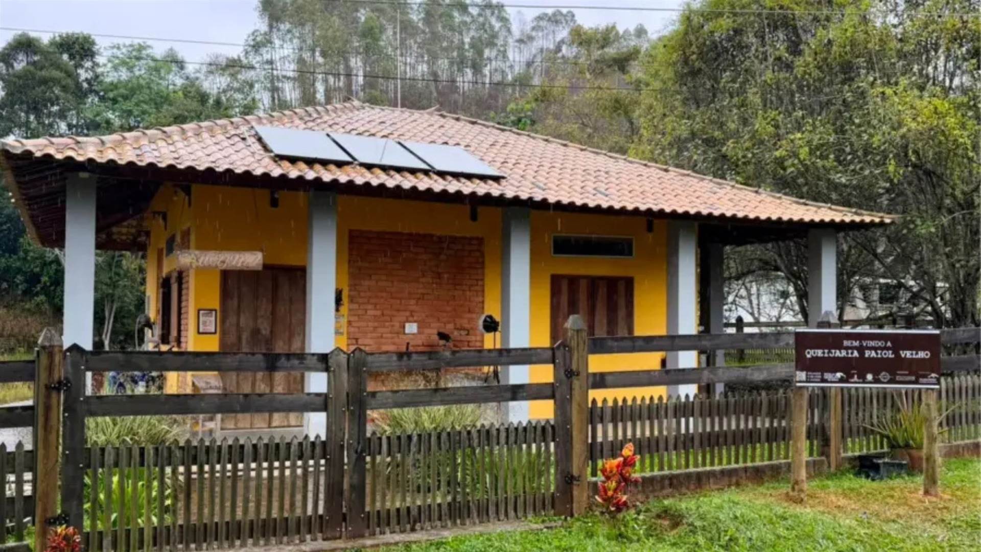 MG: queijaria de Juiz de Fora produz cheddar artesanal gigante celebrando a Rota do Queijo