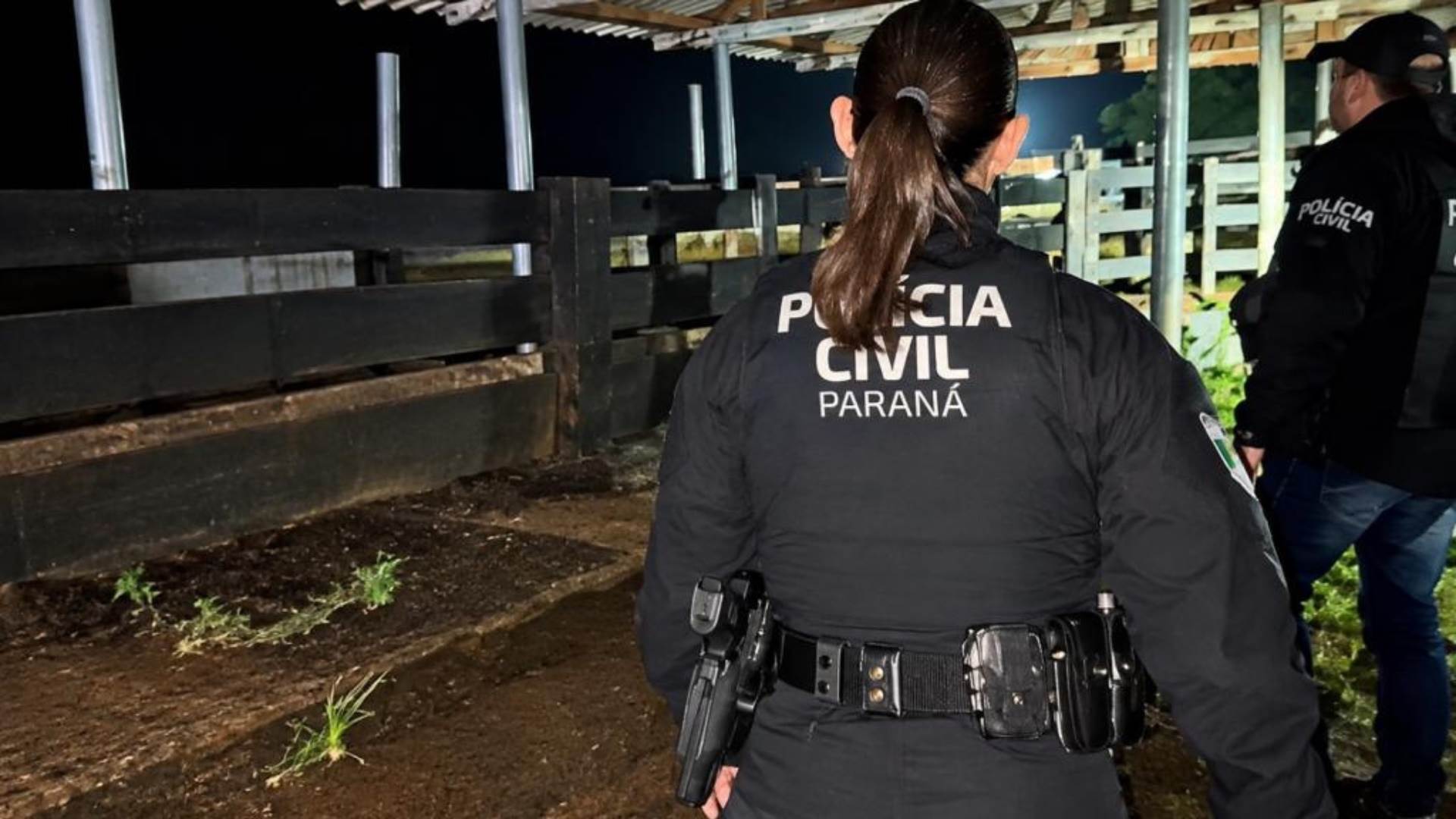 Grupo que furtou 2 mil cabeças de gado é alvo de megaoperação policial no Paraná
