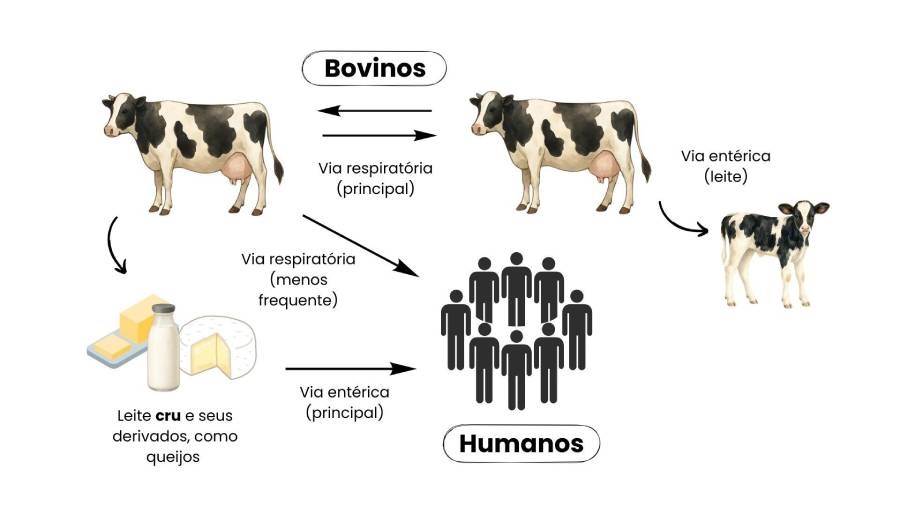 Figura 2