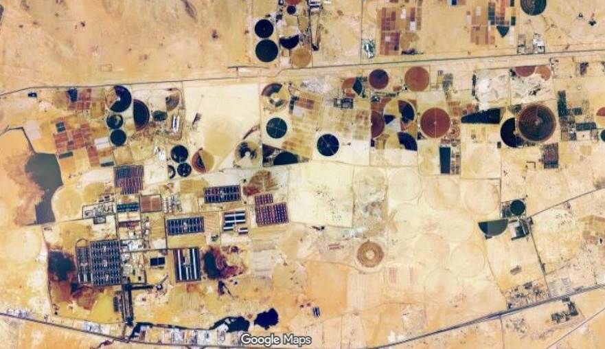 O oásis do leite no deserto: como a fazenda Al Safi produz 170 mihões de litros/ano