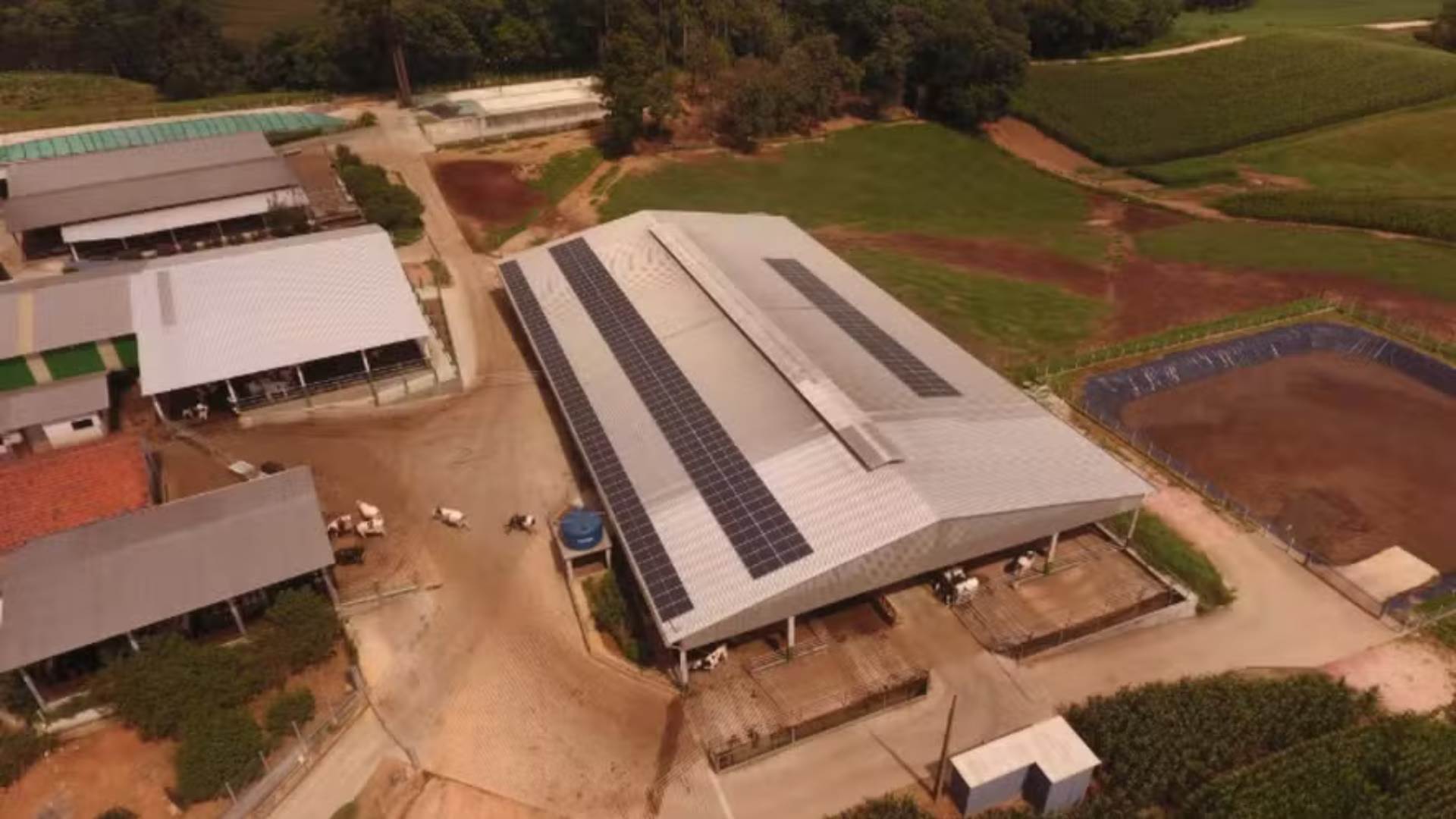 Sem dívidas e foco na eficiência: a história do produtor que multiplicou sua produção de leite no PR