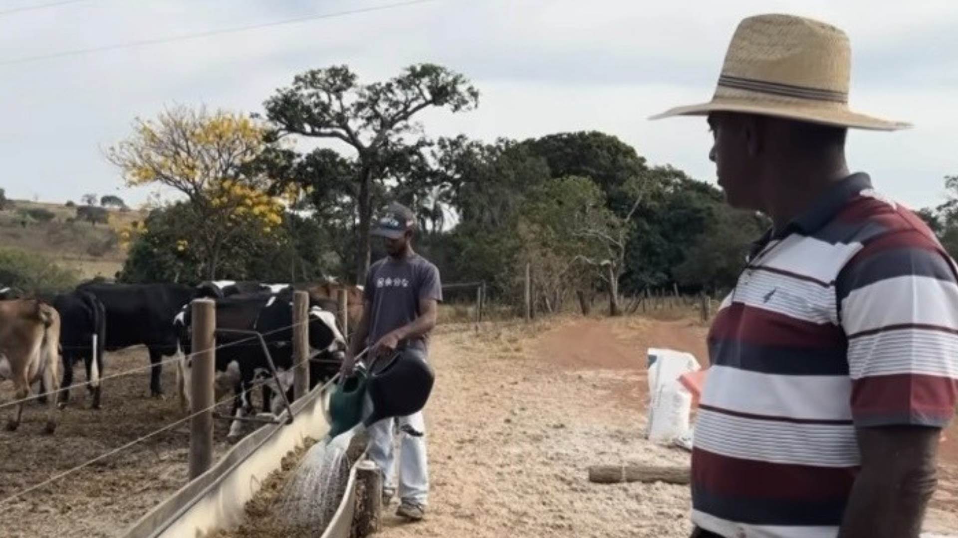 De 5 a 1.000 litros: como Zootecnia e assistência mudaram vida de pai e filho goianos