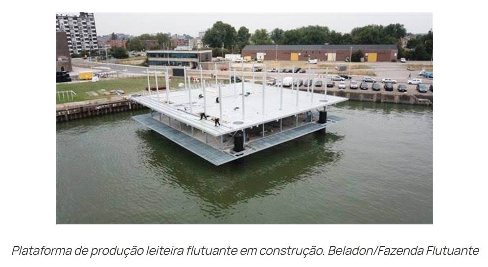 fazenda de leite flutuante na Holanda